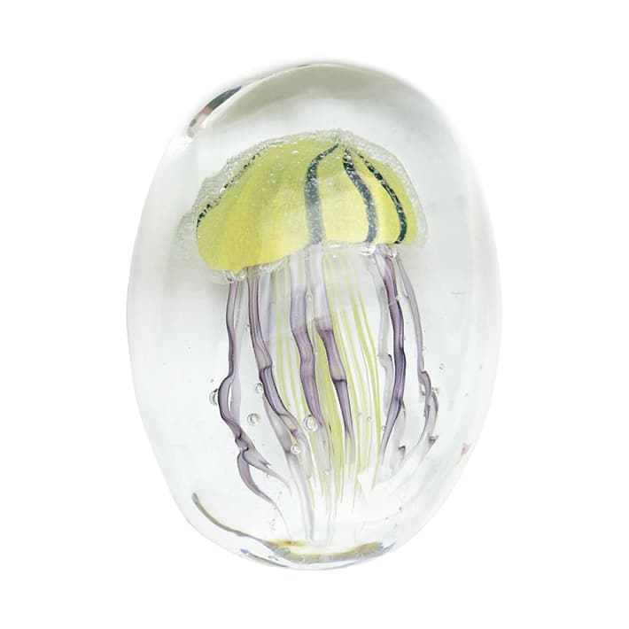 JELLYFISH TWISTED LEG Pebble/Yellow - Image 2