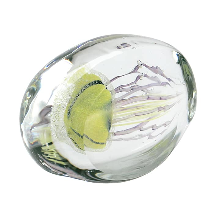 JELLYFISH TWISTED LEG Pebble/Yellow - Image 3